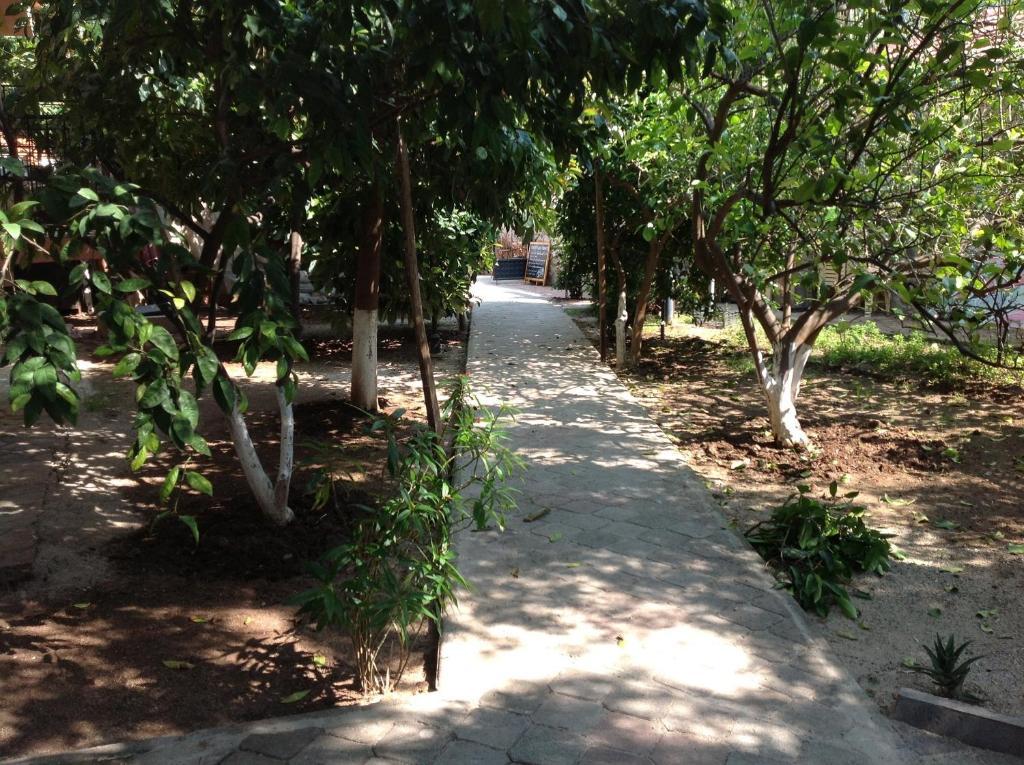 Ilkiz Beach Hotel Ölüdeniz Zewnętrze zdjęcie
